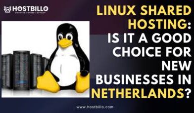 Linux-shared-hosting-in-Netherlands-e1713872962386